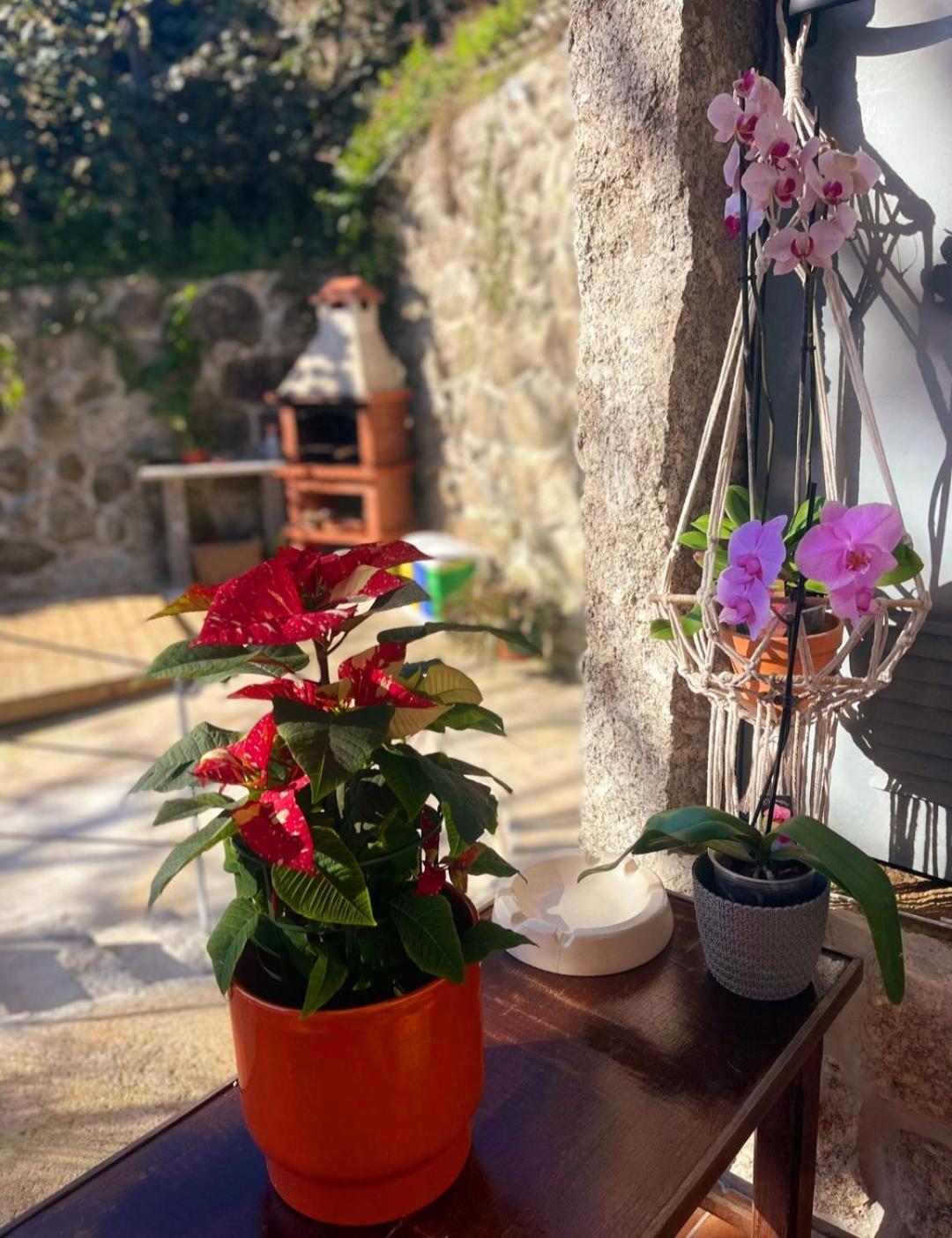 Casa Da Quinta Costa D'Alem Geres Villa Terras de Bouro Bagian luar foto